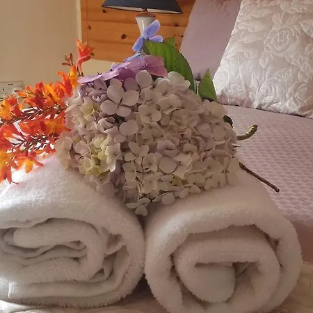 Bed & Breakfast Moriartys Farmhouse 3*